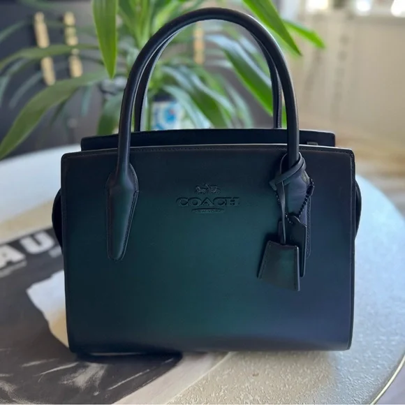 Large Andrea Carryall Bag, Used Once - Picture 2 of 9